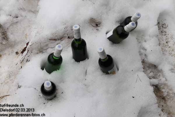 IMG 0085 prot